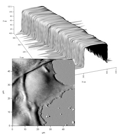 Team Nanotec vergibt Preise f�r die besten Rastersondenmikroskopie-Bilder aus mechanischen, magnetischen, elektrischen und Topographiemessungen