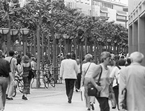 Mehr Lebensqualit�t durch Telemonitoring